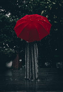 Person Standing Using Red Umbrella, downpour, rain, raindrops HD wallpaper