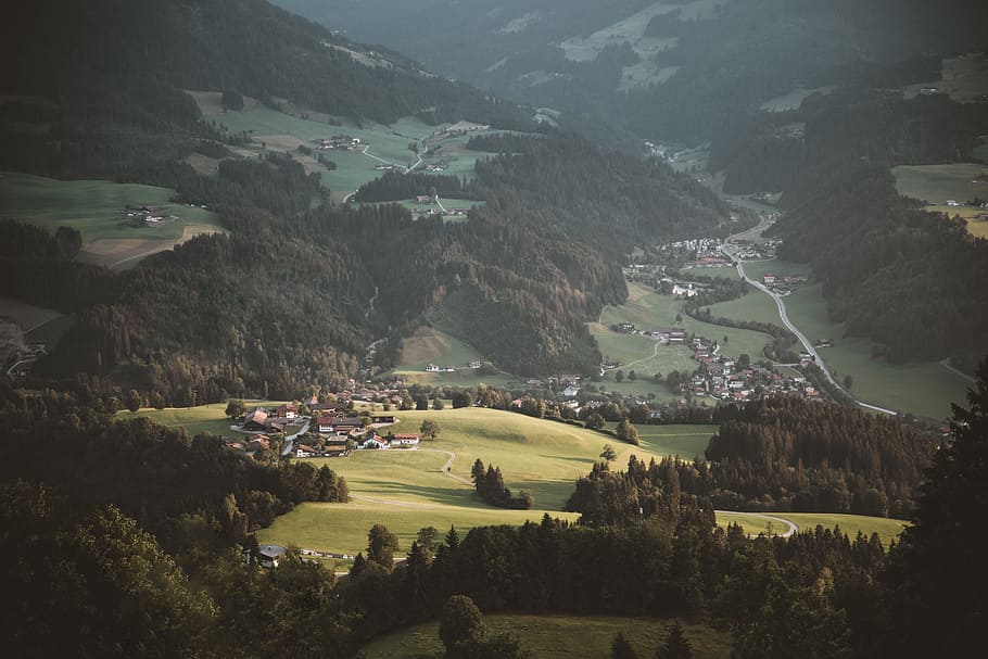 mountains and forest, drone view, landscape, tree, woodland, path HD wallpaper