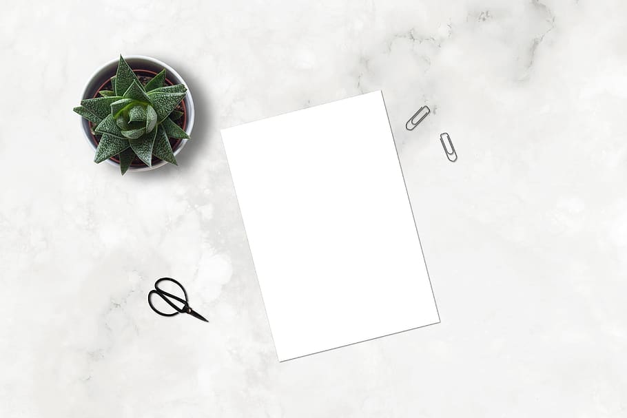 marble, paperclip, mockup, flatlay, plant, ecommerce, scissors, HD wallpaper