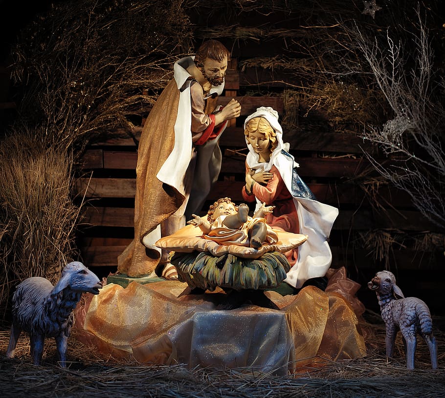 A Saviour is Born, donkey, birth, christmas, manger, tree, jesus, saviour,  joseph, HD wallpaper | Peakpx