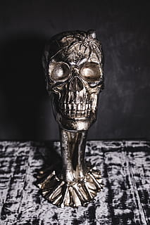 Halloween Skulls Decorations, autumn, fall, spooky, scary, close-up HD wallpaper