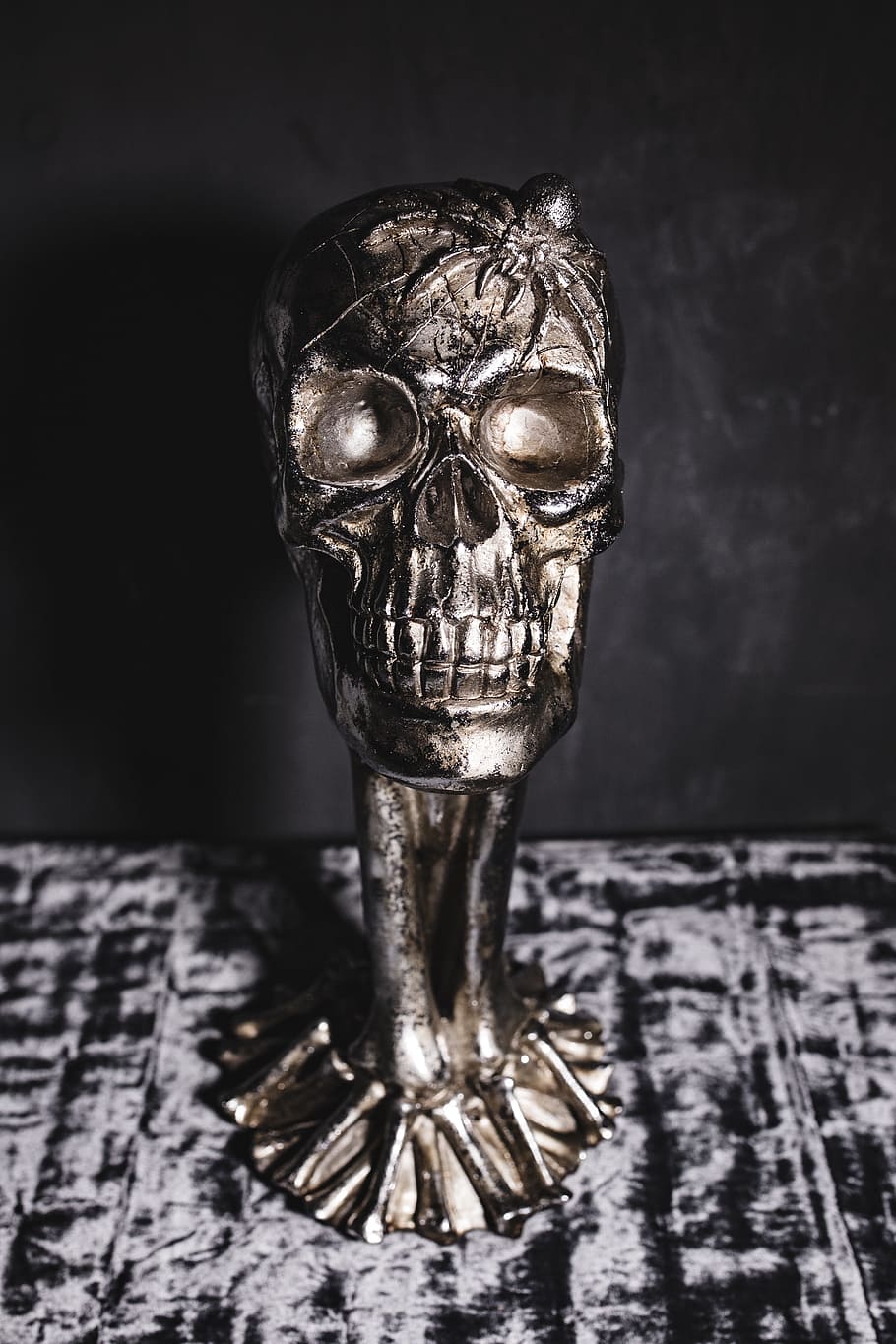 Halloween Skulls Decorations, autumn, fall, spooky, scary, close-up HD wallpaper
