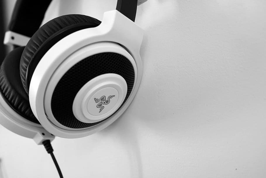 Razer White and Black Corded Headphones, audio, black-and-white, HD wallpaper