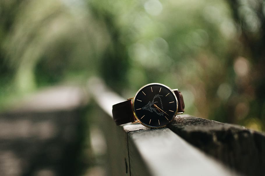 hartley, watches, close-up, focus on foreground, day, selective focus HD wallpaper