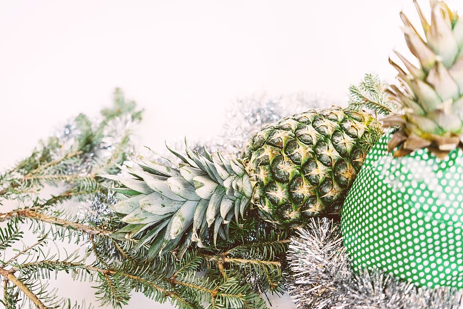 pineapple, present, needles, evergreen, branch, green color HD wallpaper