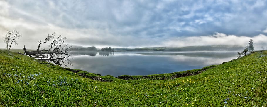 Landscape Photography of Green Grass, clouds, environment, field HD wallpaper