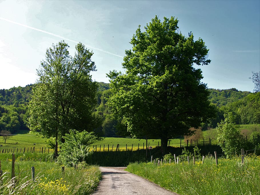 Натура nature