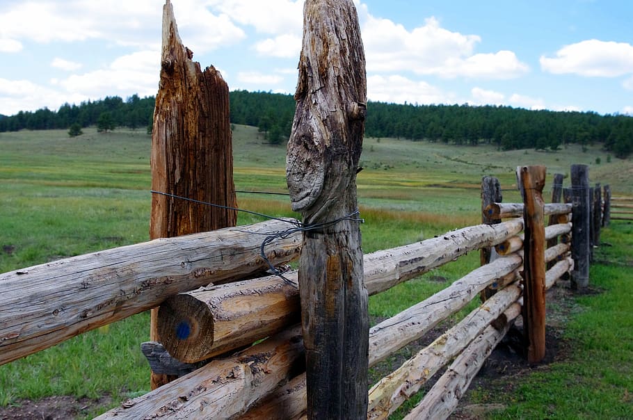 post and rail fence, rustic, rural, outdoor, wooden, old, railing