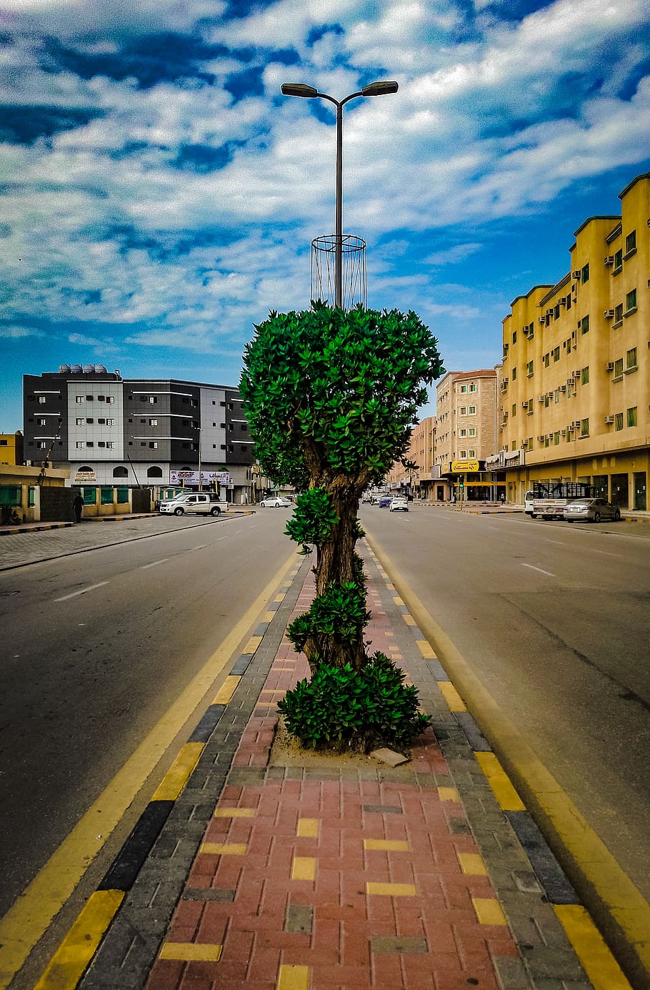 saudi arabia, al jubail, sky, green, tree, building, blue, street, HD wallpaper