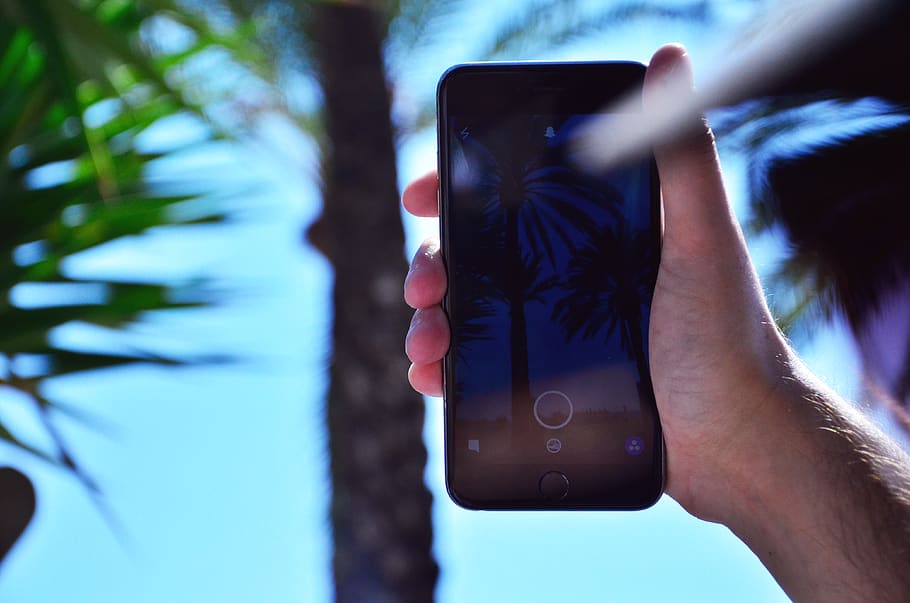 blur, tree, sungla, cap, datum, snapchat, mobile, beach, sky HD wallpaper
