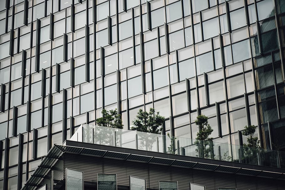 brown and black high-rise building, window, corporate, office HD wallpaper