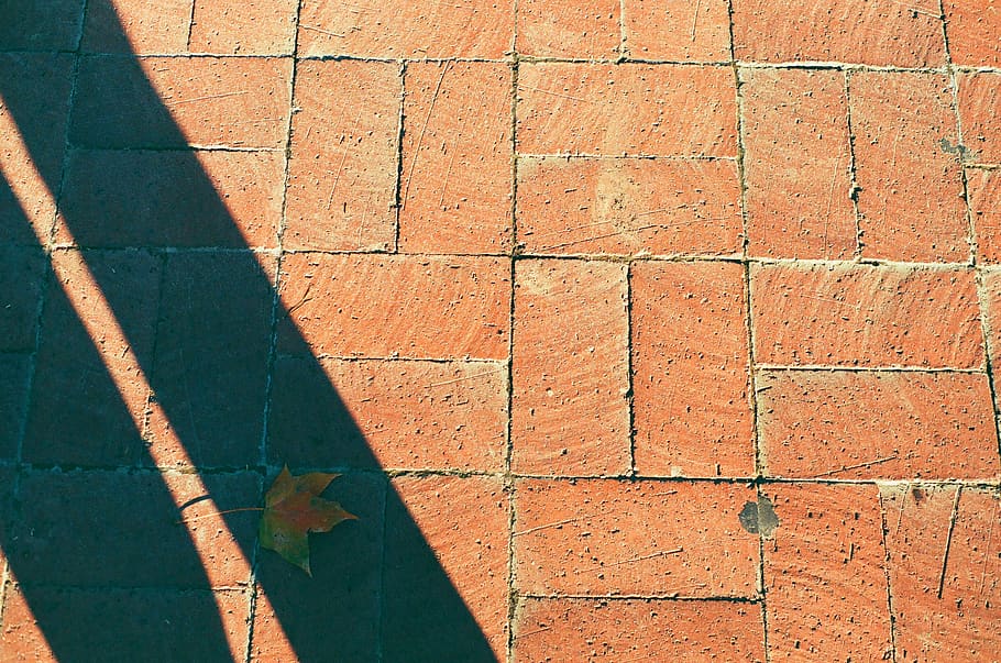 brick, plant, leaf, path, walkway, wall, pavement, sidewalk HD wallpaper