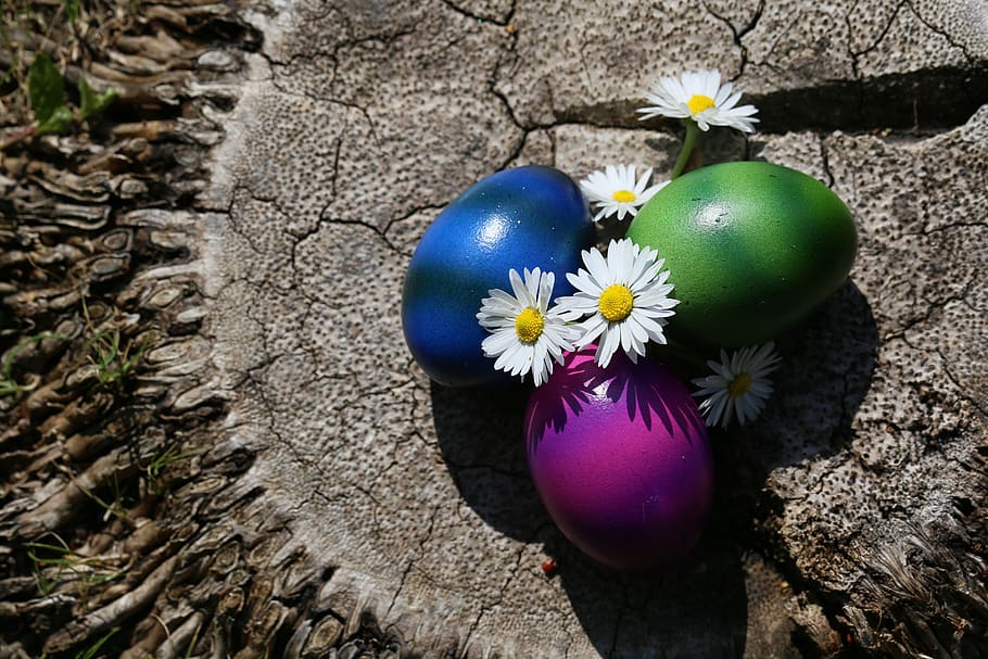 easter, easter eggs, colorful, colored, spring, easter nest HD wallpaper