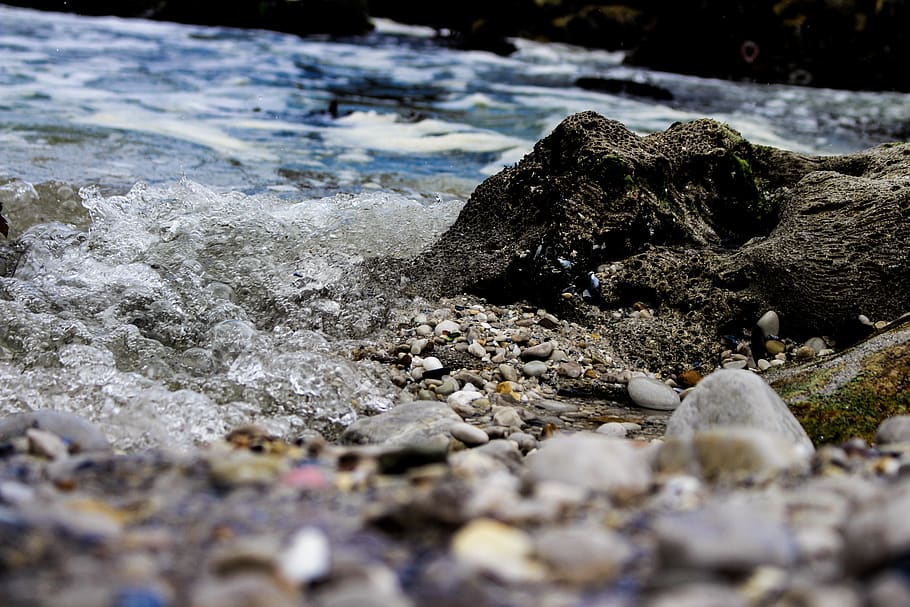 water, ocean, beach, splash, rocks, explore, closeup, shells HD wallpaper