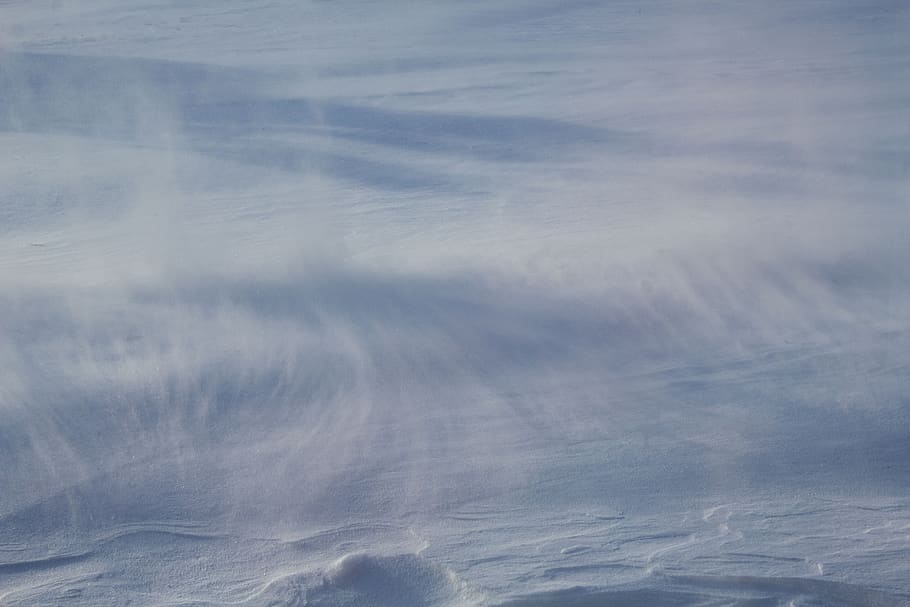 snow, blowing, drifting, cold, winter, fresh, snowfall, nature HD wallpaper
