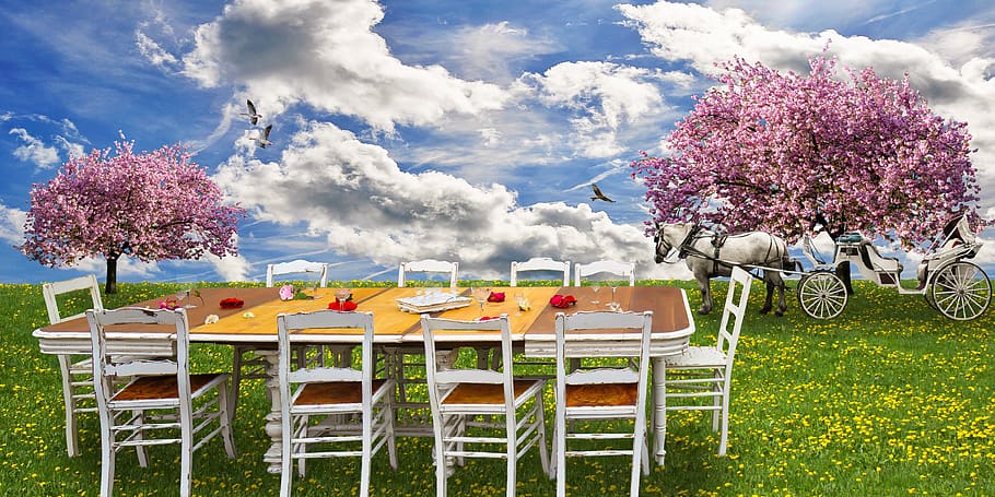 nature, spring, eat, drink, picnic, family fast, meadow, cherry tree HD wallpaper