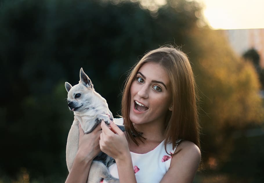 animal lover, blurred background, dog, girl, golden hour, happiness, HD wallpaper