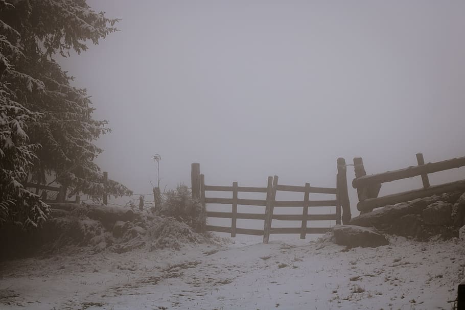 closed gate near trees, nature, weather, outdoors, snow, grey, HD wallpaper