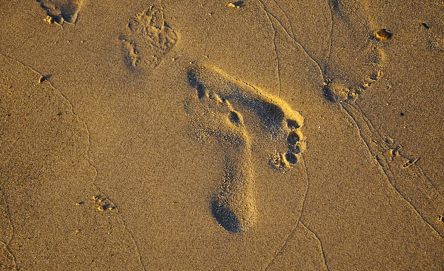 sand, footprints, beach, summer, sea, nature, barefoot, outdoor HD wallpaper