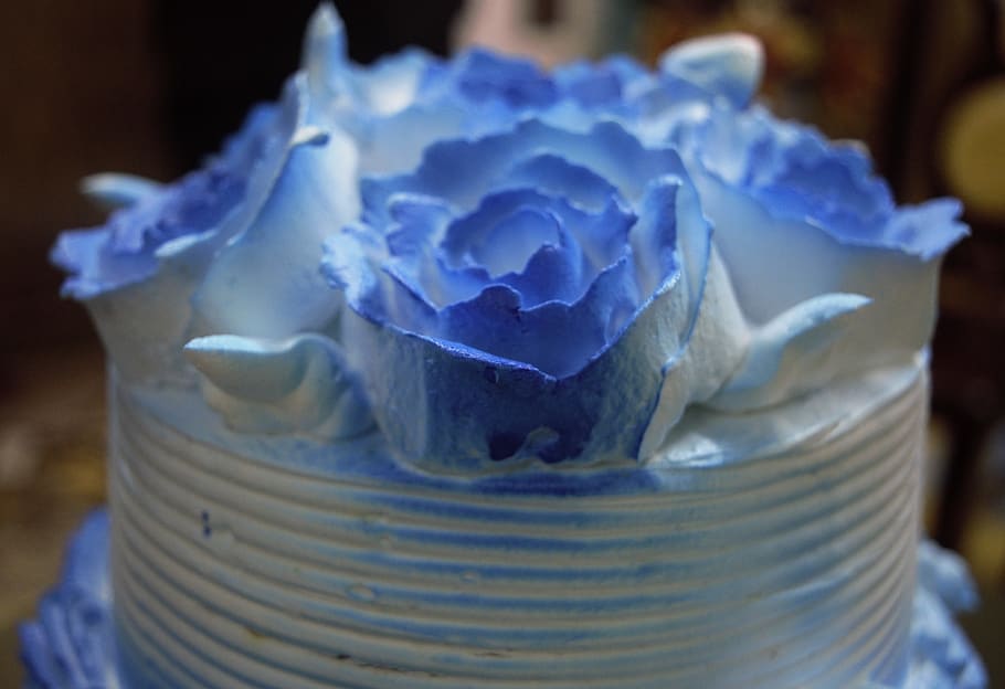blue, rose, white, cake, wedding, icing, sugar, sweet, food HD wallpaper