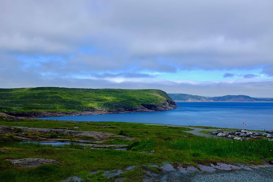 ocean, trees, canada, water, sky, scenics - nature, beauty in nature HD wallpaper