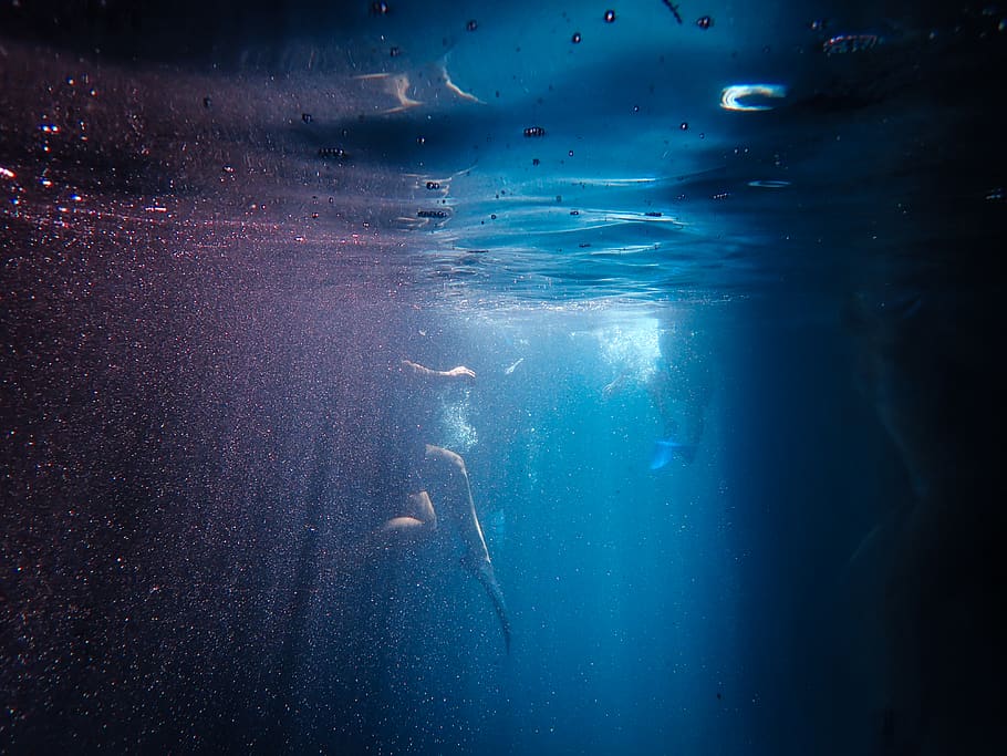 Underwater Photography, dark, diving, eerie, jellyfish, ocean, HD wallpaper