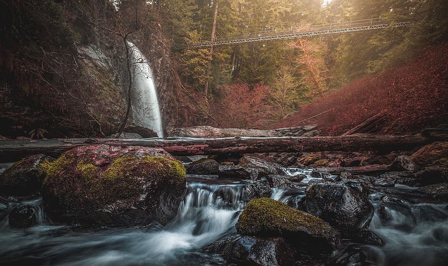 Photo Of Waterfalls, cascade, environment, flow, forest, nature HD wallpaper