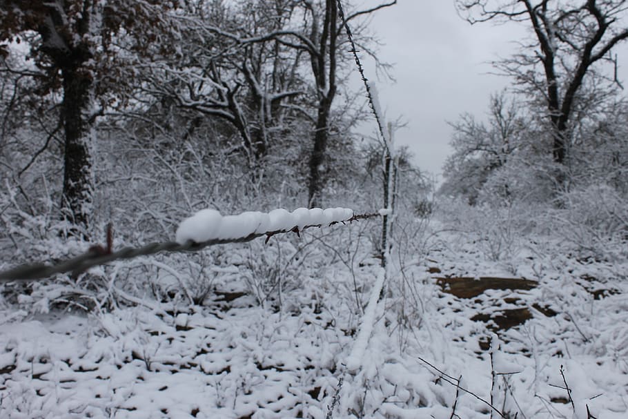 snow, winter, christmas, barbed, wire, fence, trees, snowing HD wallpaper