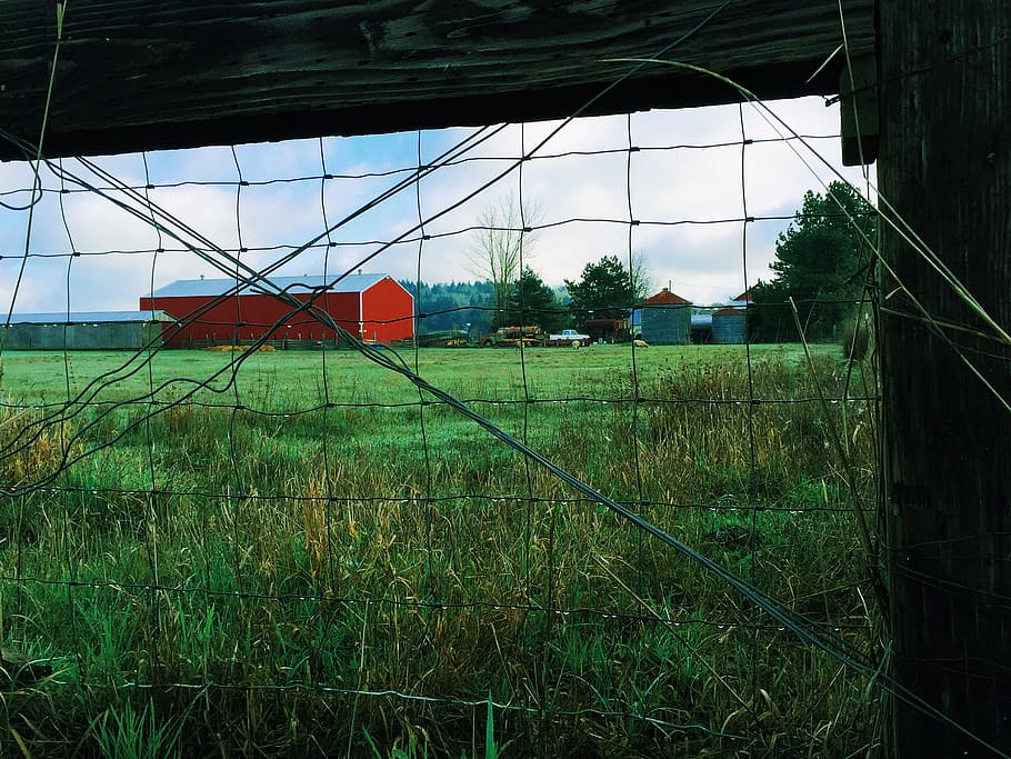 fence, farm, barn, grass, dew, dew on fence, farmland, farm life HD wallpaper