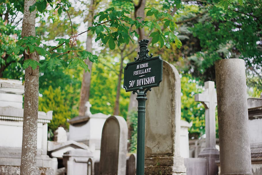 tomb, paris, plant, tree, cimetière du père-lachaise, france HD wallpaper