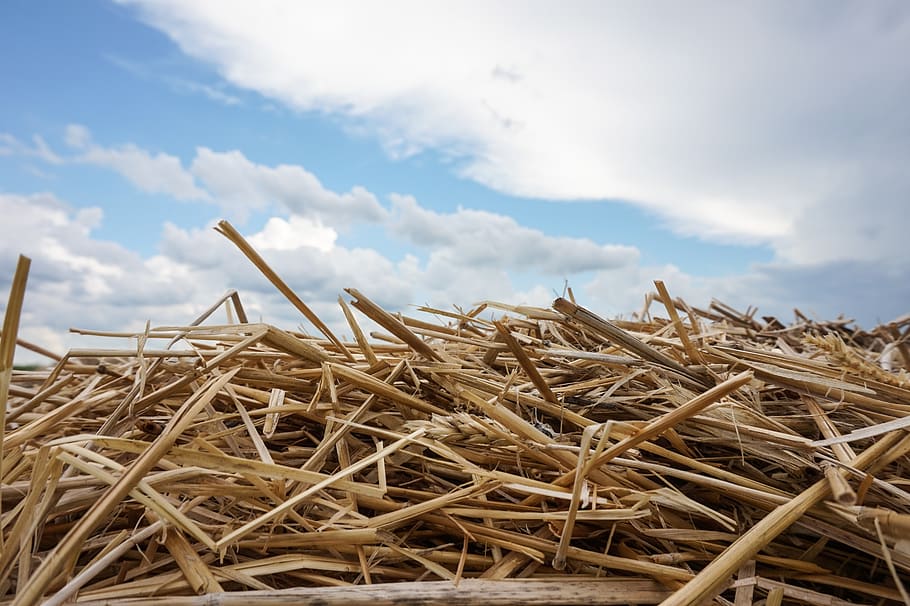 straw, bale, sky, blue, praries, canada, farm, land, outside HD wallpaper