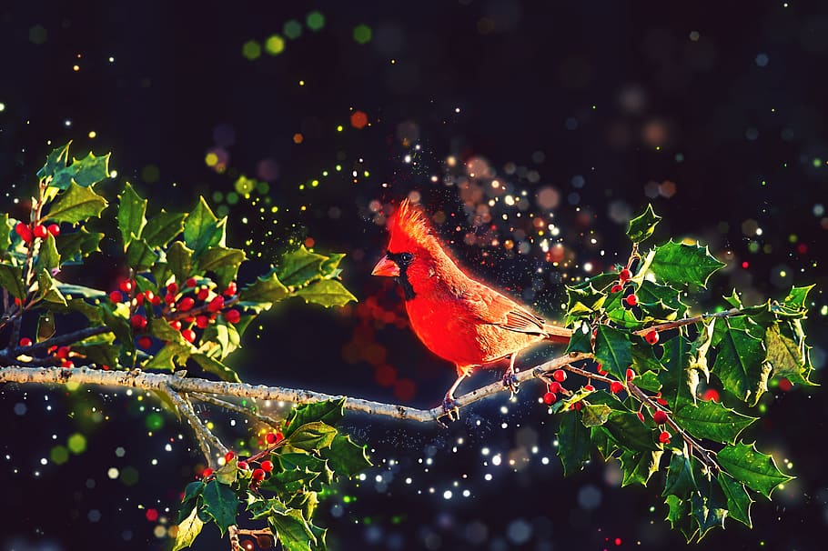 bird, floral, seamless, background, leaf, spring, garden, flower HD wallpaper