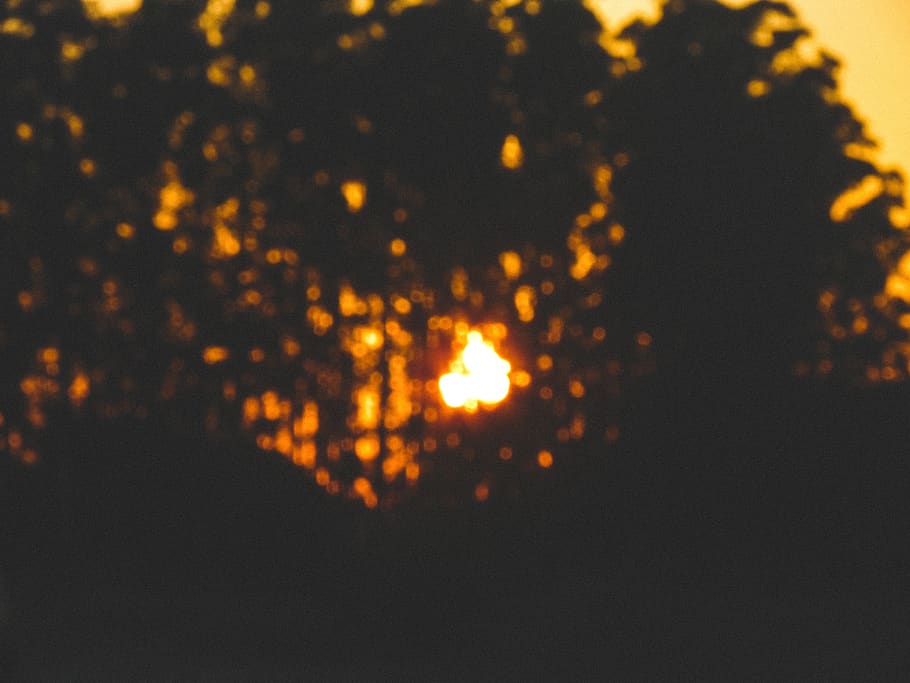 blur, sun, sun rise, orange sun, high contrast, blur photo HD wallpaper
