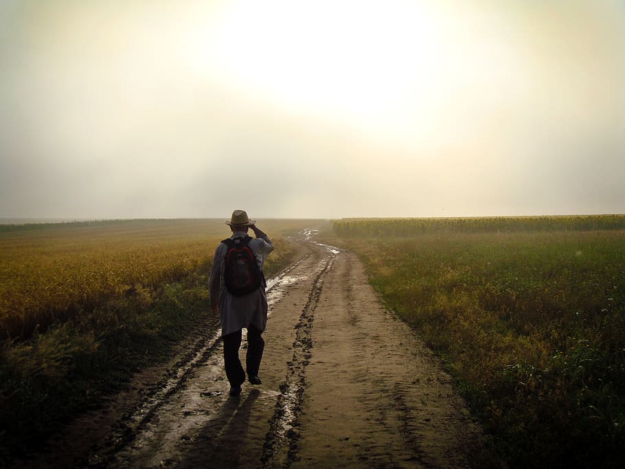 man walking in rice field, sky, rear view, one person, the way forward HD wallpaper