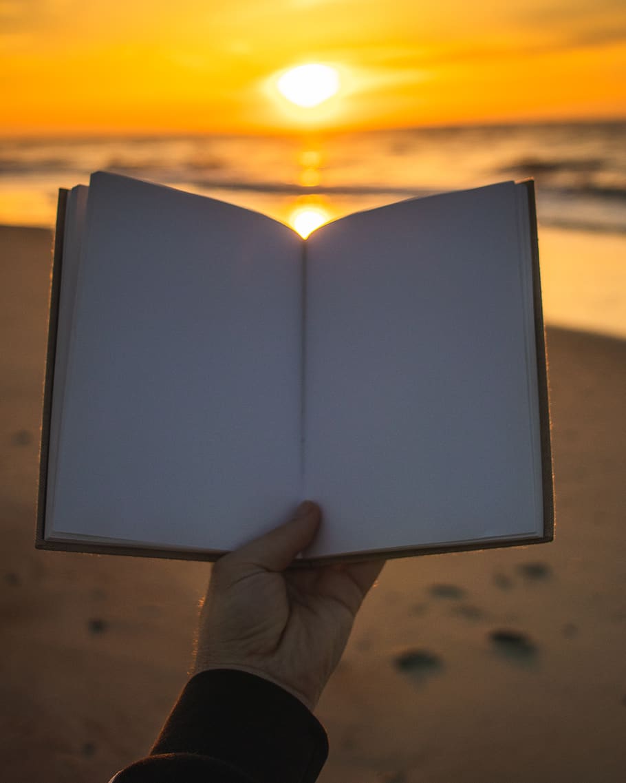 person, human, text, book, pc, electronics, laptop, computer HD wallpaper