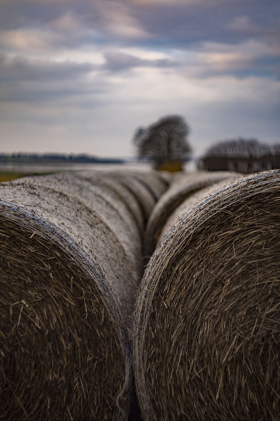 brown hay, sky, bale, cloud - sky, field, agriculture, farm, land HD wallpaper