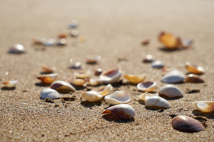 beach, sand, background, texture, pattern, summer, hot, peace HD wallpaper
