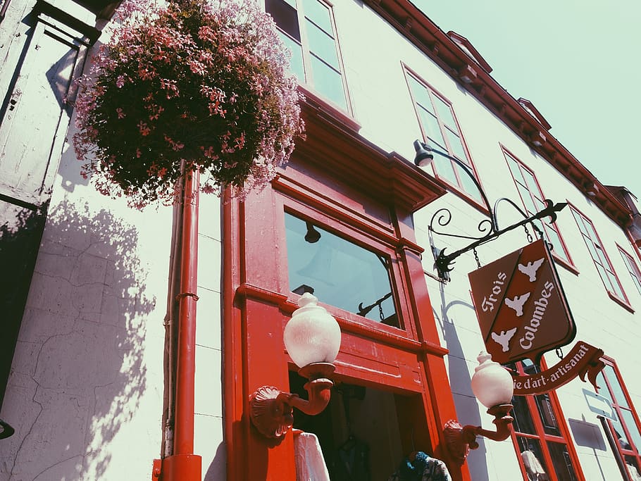 canada, baie-james, 퀘벡, quebec, building, flower, red, low angle view HD wallpaper