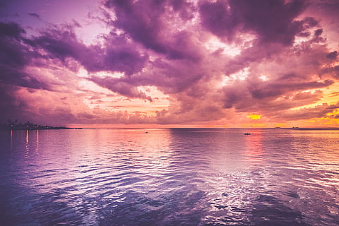 ocean during golden hour, pink, background, cloud, sunset, sea HD wallpaper