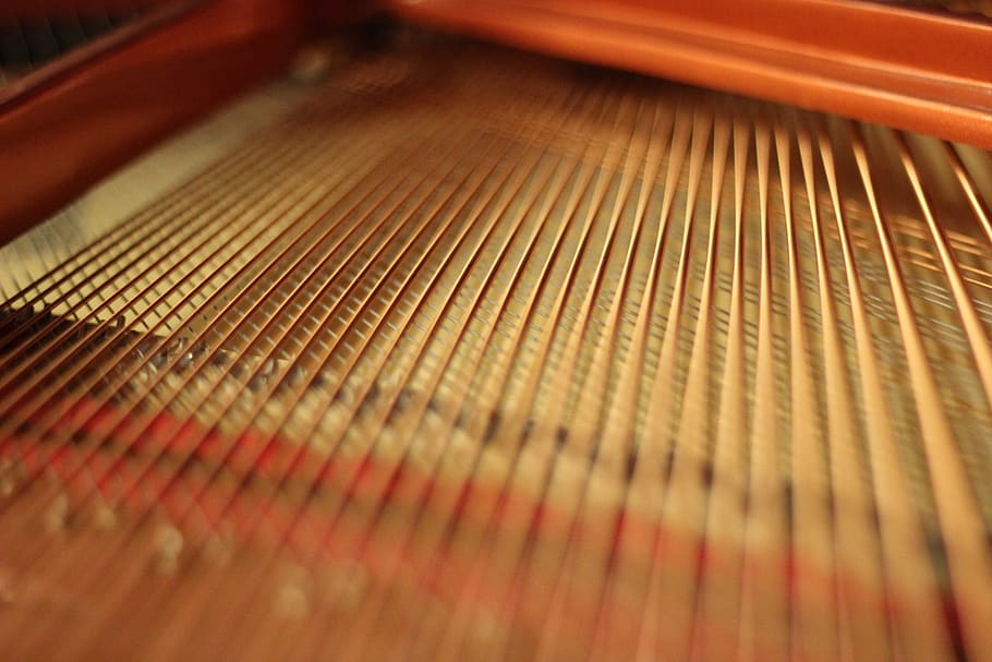 wing, piano, blurry, blur effect, string instrument, musical instrument HD wallpaper