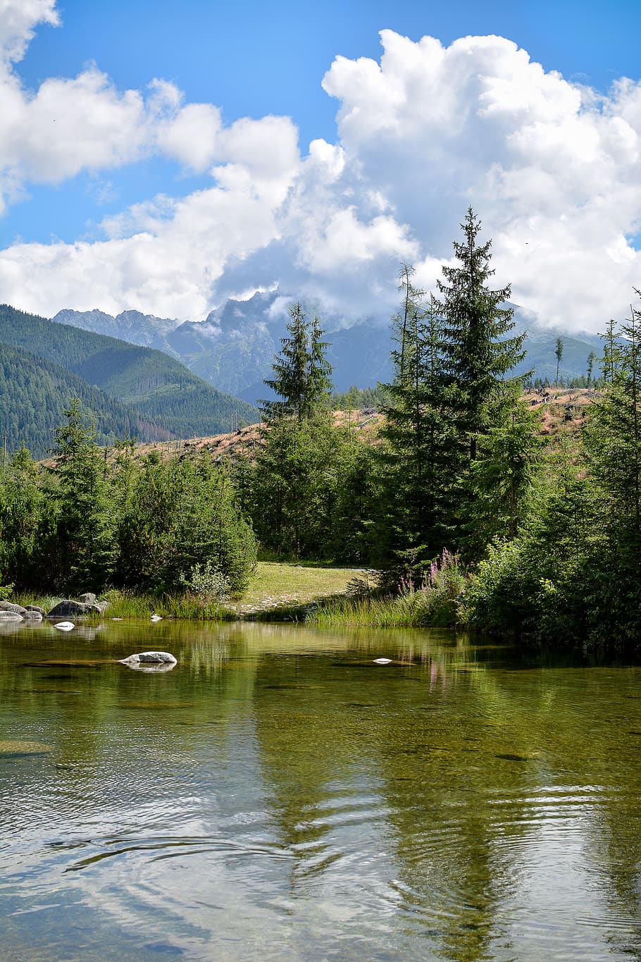 trees, tatras, high, mountains, slovakia, hightatras, tatry HD wallpaper