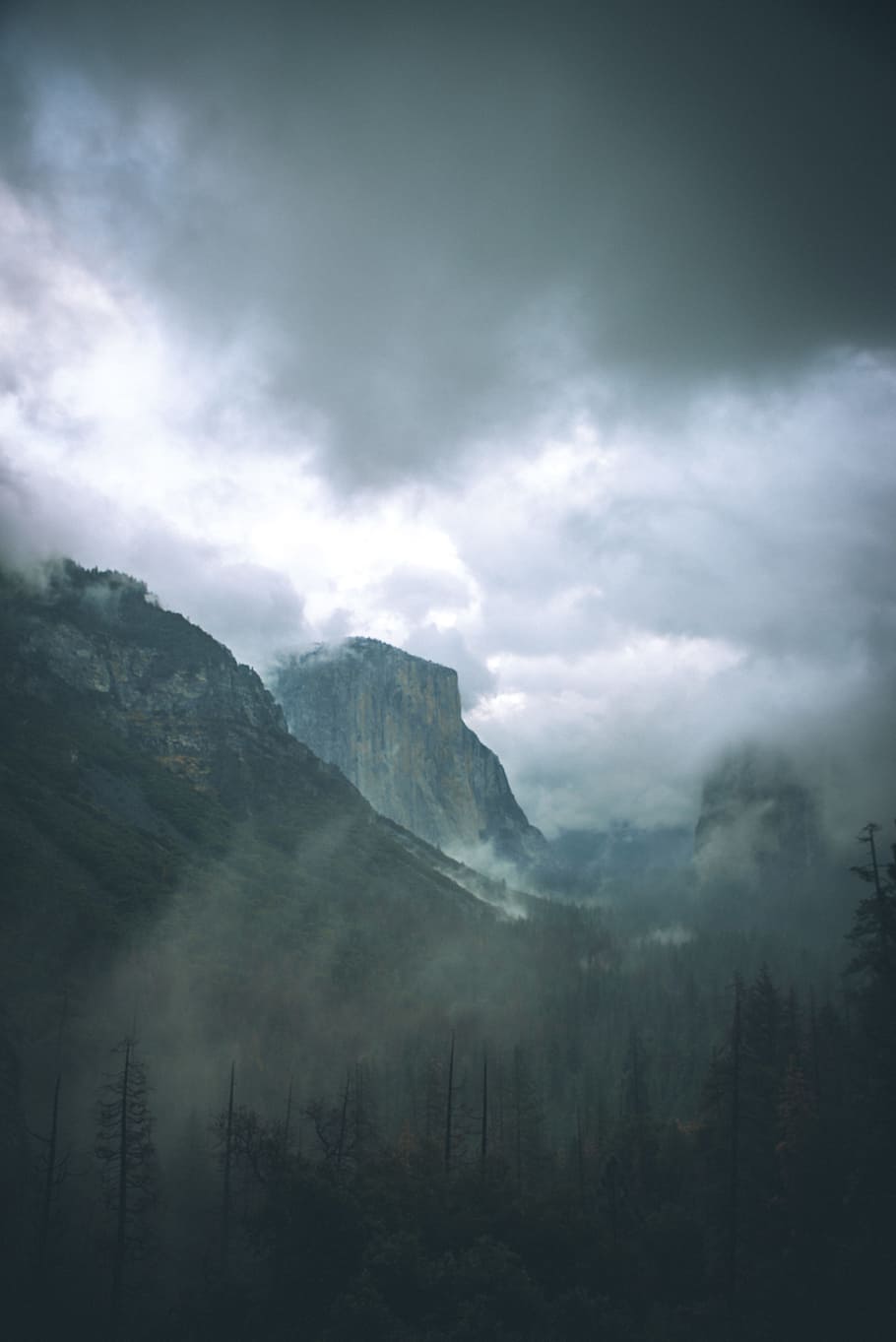 cloudy sky, mountain, forest, storm, overcast, dark, night, star HD wallpaper