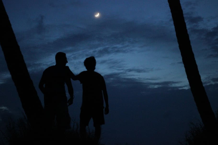 silhouette, two people, togetherness, sky, night, moon, nature HD wallpaper