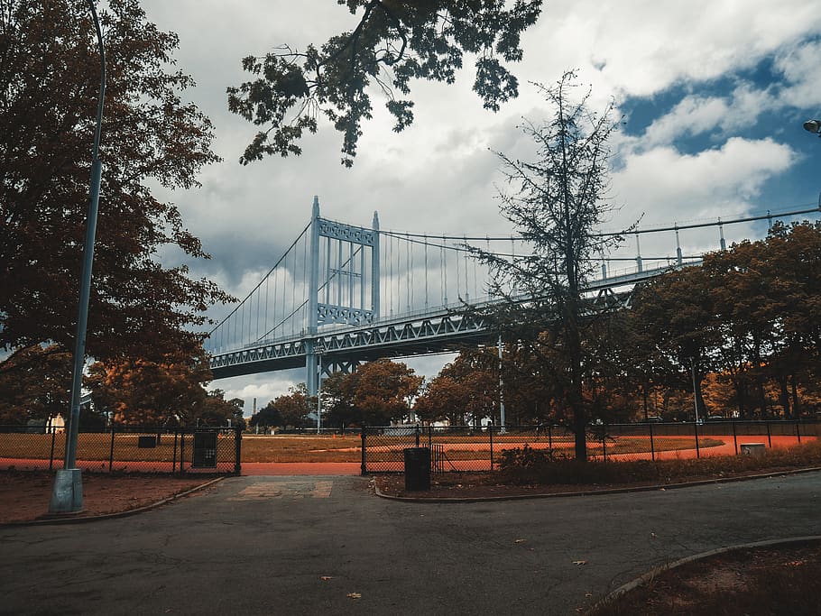 blue bridge beside tree, sky, cloud - sky, architecture, plant HD wallpaper