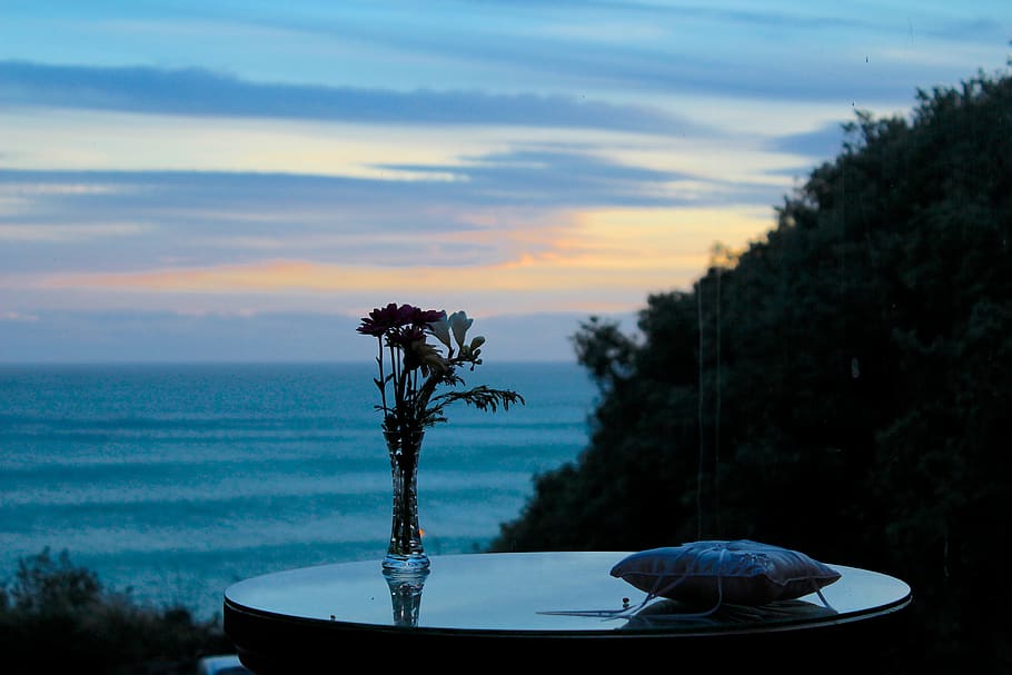 sunset, sea, plant, beauty in nature, sky, cloud - sky, water HD wallpaper