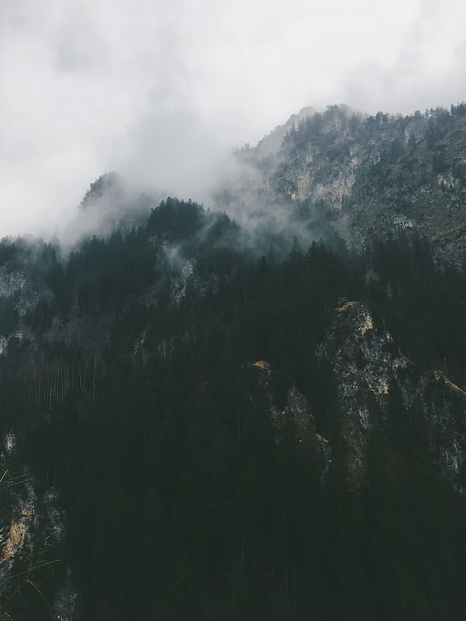 germany, schwangau, hill, forest, trees, fog, foggy, moody HD wallpaper
