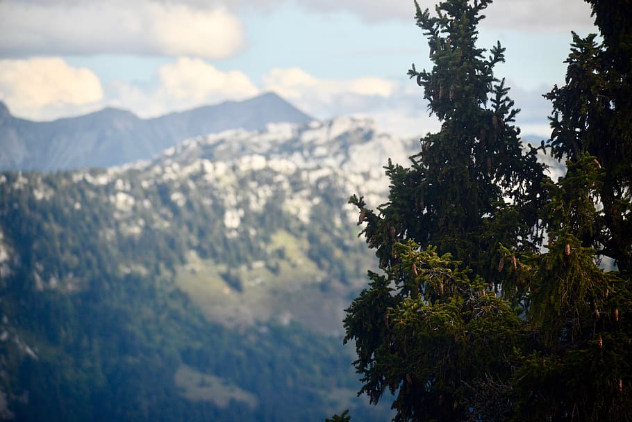 france, semnoz, forest, hillside, cloudscape, annecy, sky, landscape HD wallpaper
