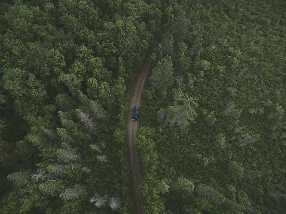 high angle photography of blue vehicle beside green trees, adirondack HD wallpaper