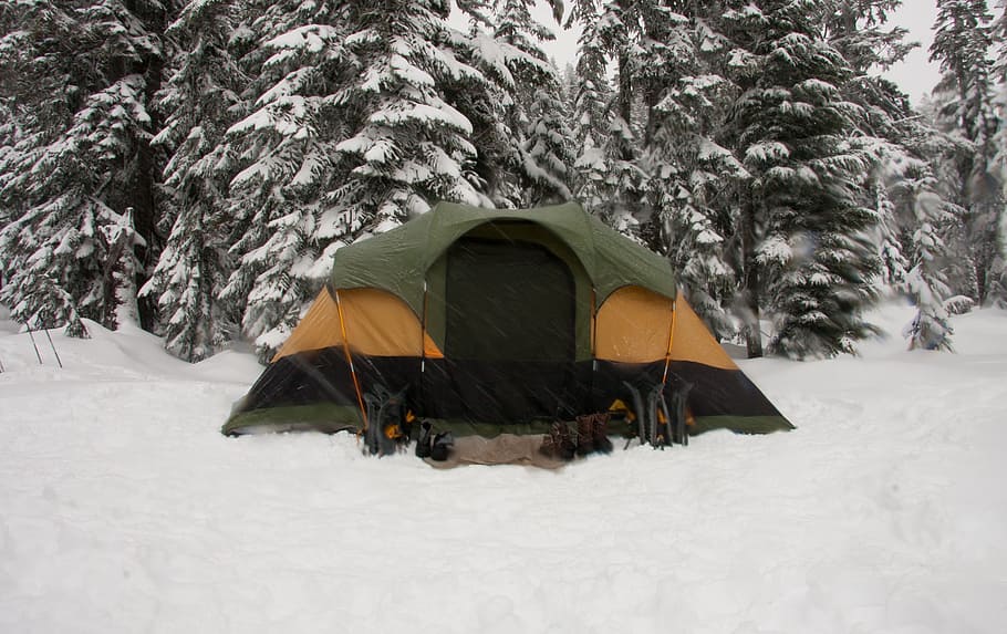 mountain, camp, camping, tent, stay, relax, snow, ice, tree HD wallpaper
