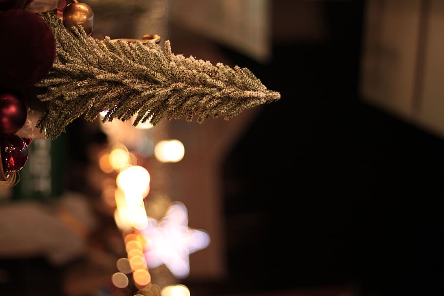 celebration, holiday, illuminated, focus on foreground, decoration HD wallpaper